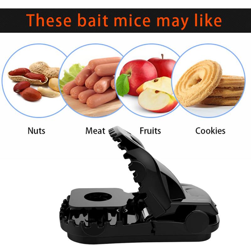 Reusable Plastic Mouse Trap