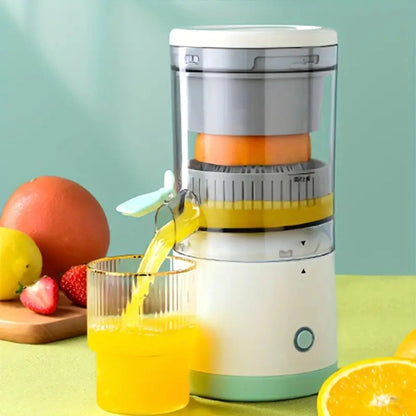 Automatic Electric Fruit Juicer